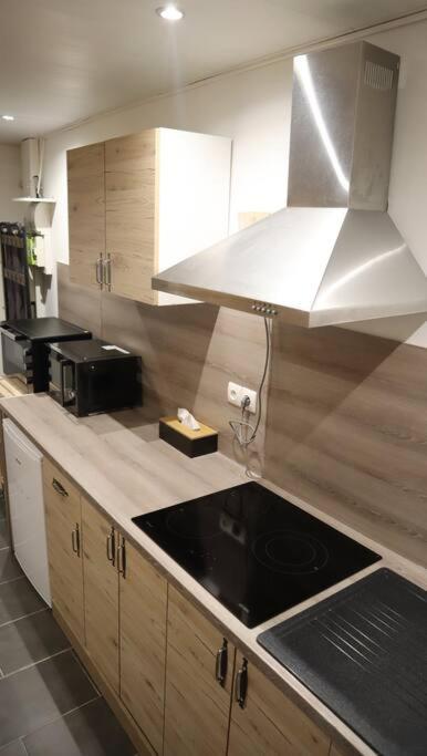 Maison Atypique, Centre-Ville 2+2 Pers Sauna Ir 色当 外观 照片